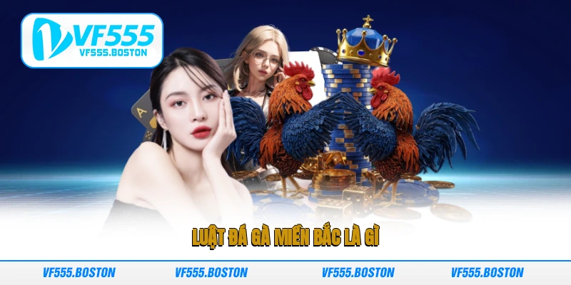 Luật đá gà miền Bắc là gì?