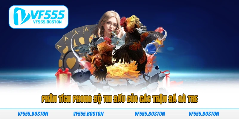Phân tích phong độ thi đấu của các trận đá gà tre
