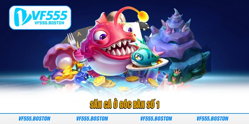 Săn cá ở góc bàn số 1